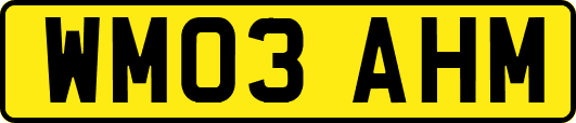WM03AHM