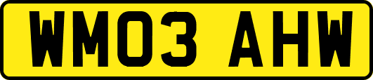 WM03AHW