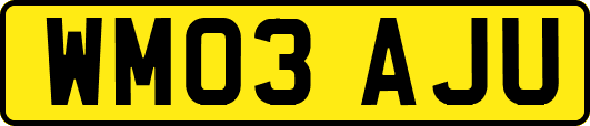 WM03AJU