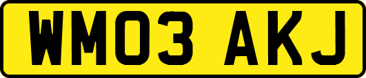 WM03AKJ