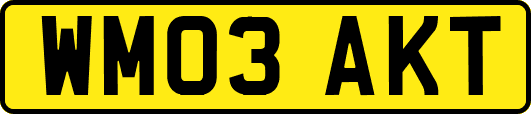 WM03AKT