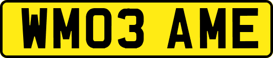 WM03AME