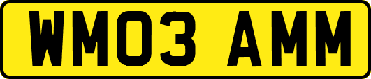WM03AMM