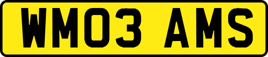 WM03AMS