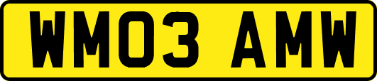 WM03AMW