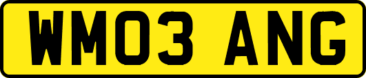 WM03ANG