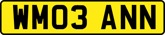 WM03ANN