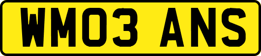 WM03ANS
