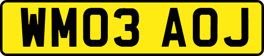 WM03AOJ