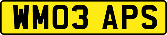 WM03APS