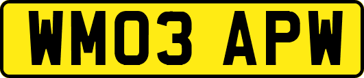 WM03APW