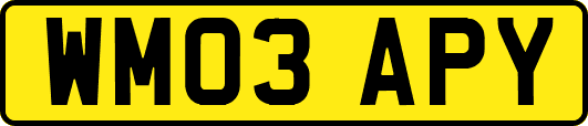 WM03APY