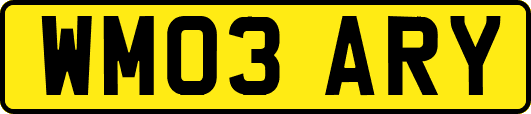 WM03ARY