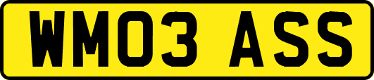 WM03ASS