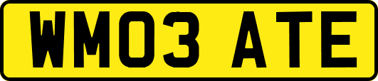 WM03ATE