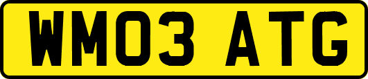 WM03ATG