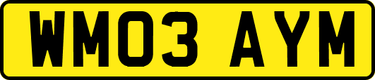 WM03AYM