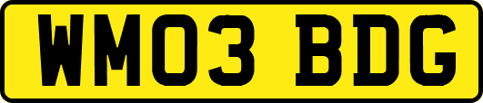 WM03BDG