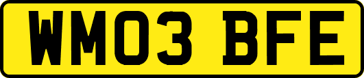 WM03BFE
