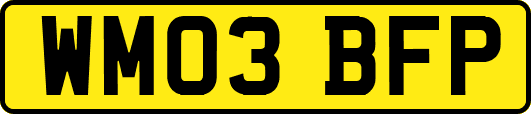 WM03BFP