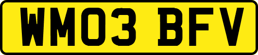 WM03BFV