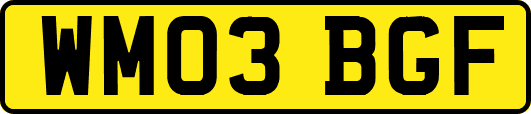 WM03BGF