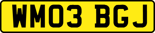 WM03BGJ