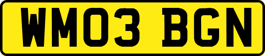 WM03BGN