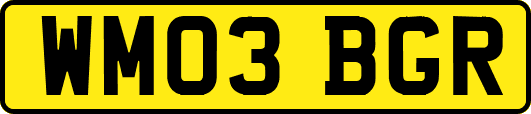 WM03BGR