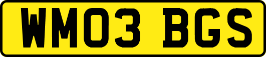 WM03BGS