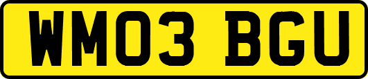 WM03BGU
