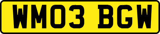 WM03BGW