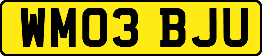 WM03BJU