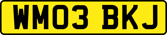 WM03BKJ
