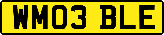 WM03BLE