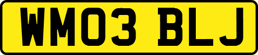 WM03BLJ