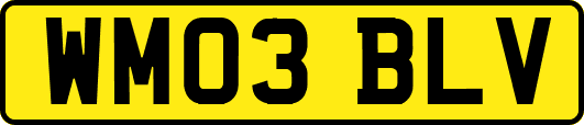 WM03BLV