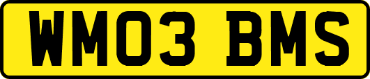 WM03BMS