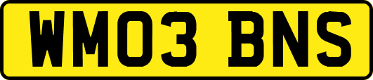 WM03BNS