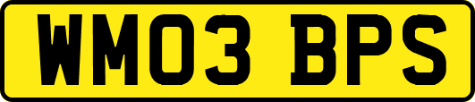 WM03BPS