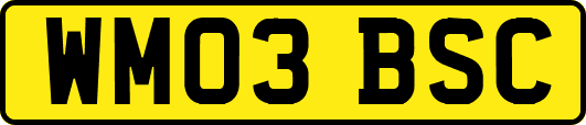 WM03BSC