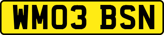 WM03BSN