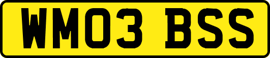 WM03BSS