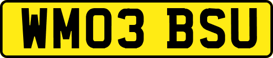 WM03BSU