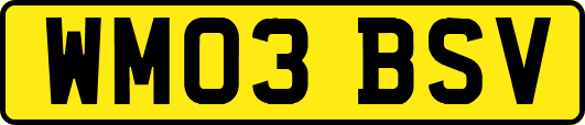 WM03BSV