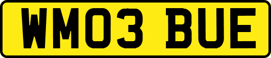 WM03BUE