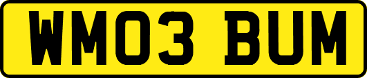 WM03BUM
