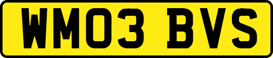 WM03BVS