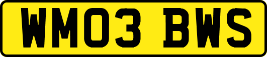 WM03BWS