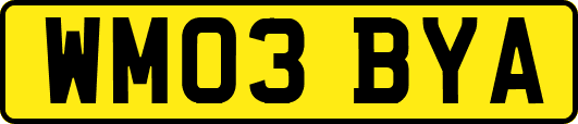 WM03BYA